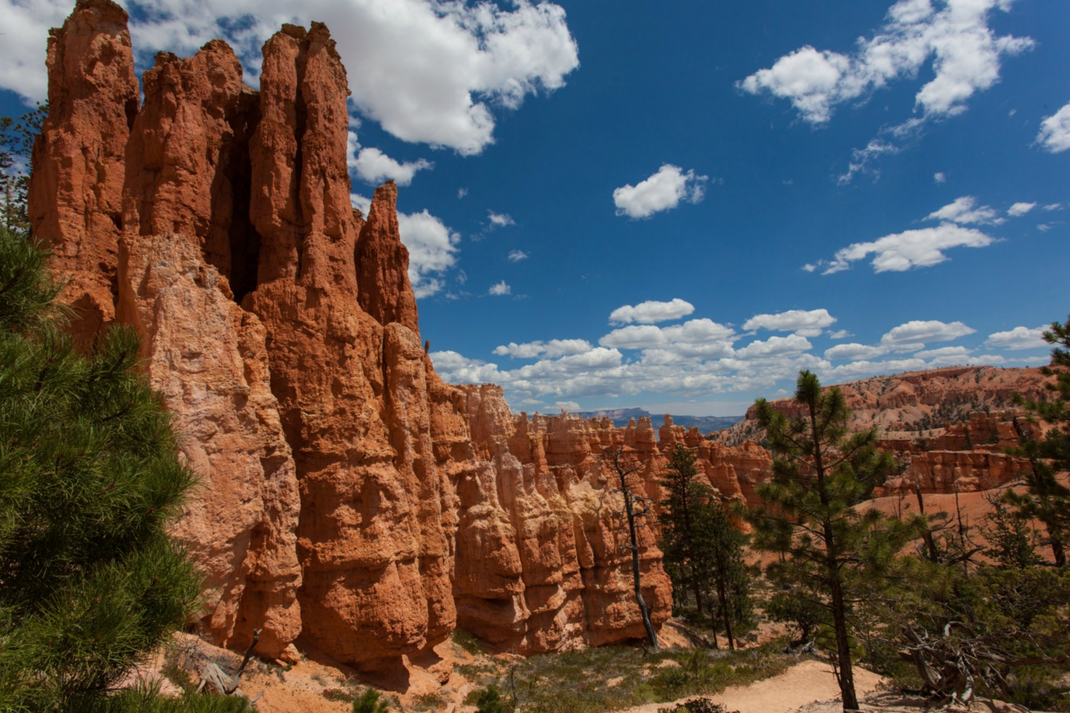 USA_Bryce Canyon_131